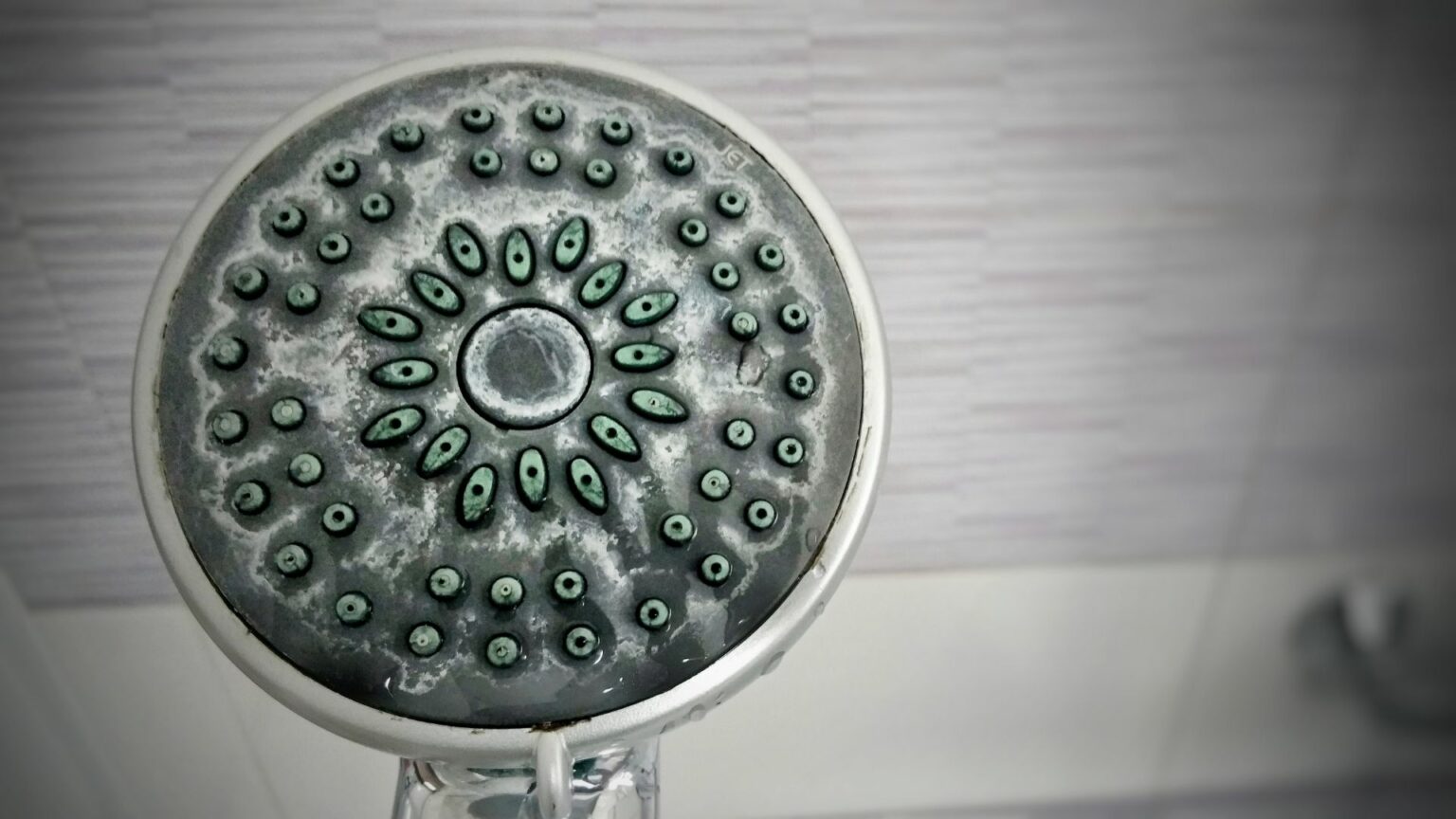 Comment lutter contre le calcaire dans votre douche ?